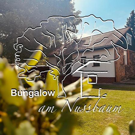 Bungalow Am Nussbaum Olbersdorf エクステリア 写真