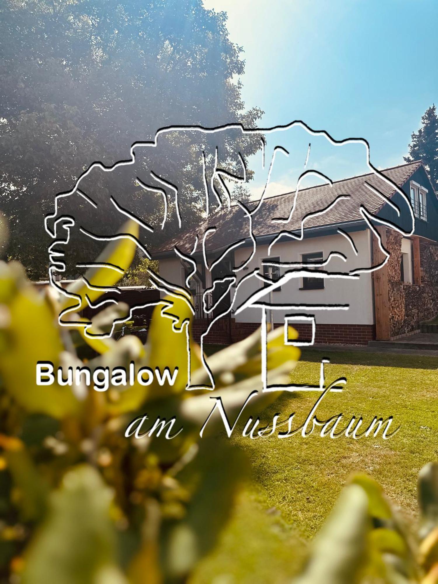 Bungalow Am Nussbaum Olbersdorf エクステリア 写真