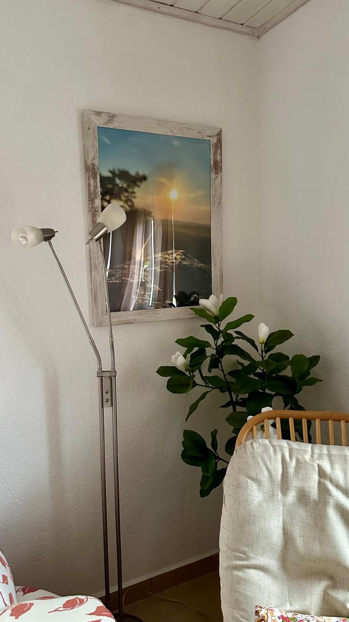 Bungalow Am Nussbaum Olbersdorf エクステリア 写真